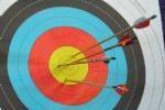 Arrows in a Target (Bullseye)